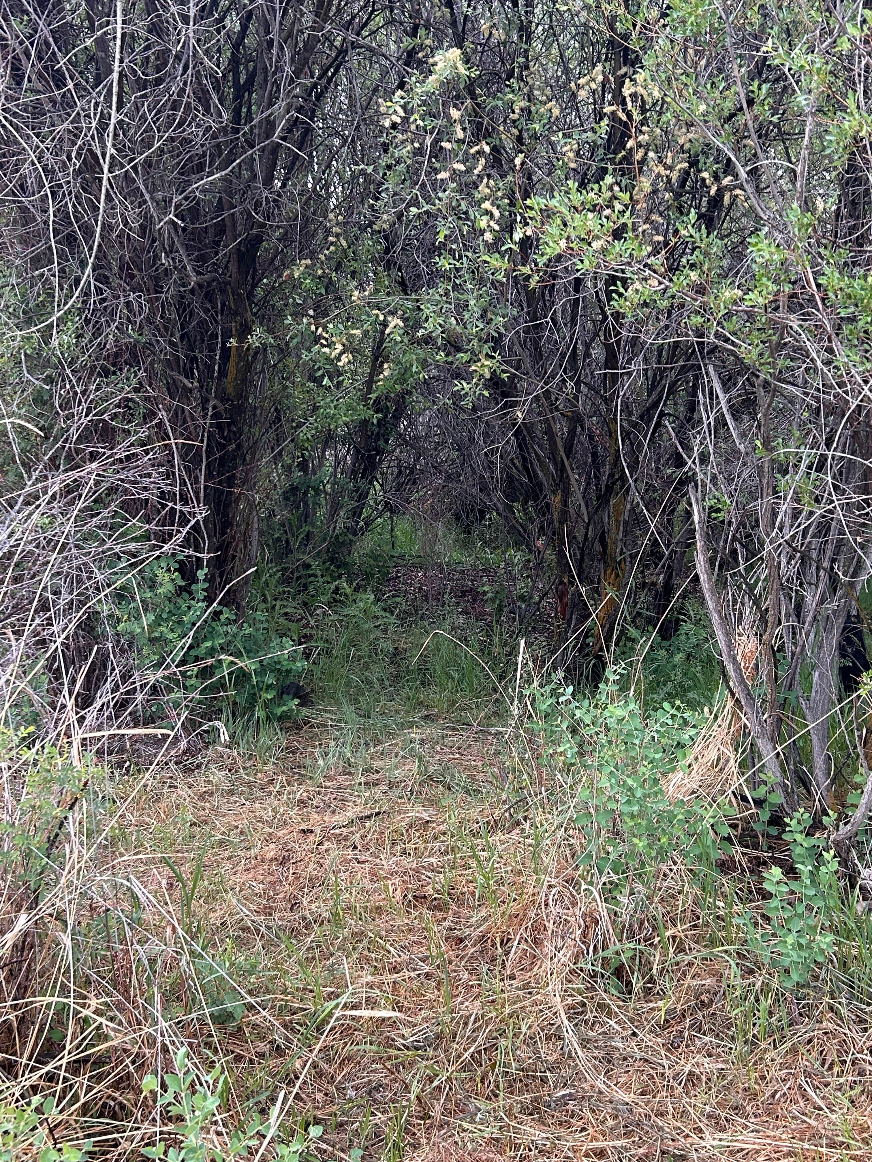 Camping near Homestake Pass Dispersed: Glen Campground, Glen, Montana