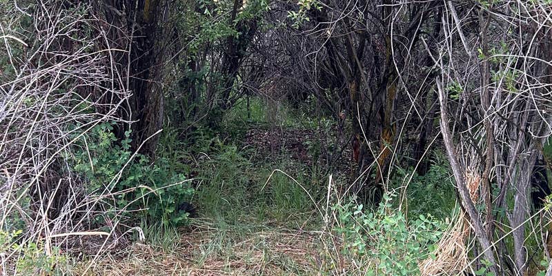 Camper submitted image from Glen Campground