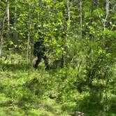Review photo of Glen Maury Park Campground by Beth D., May 3, 2026