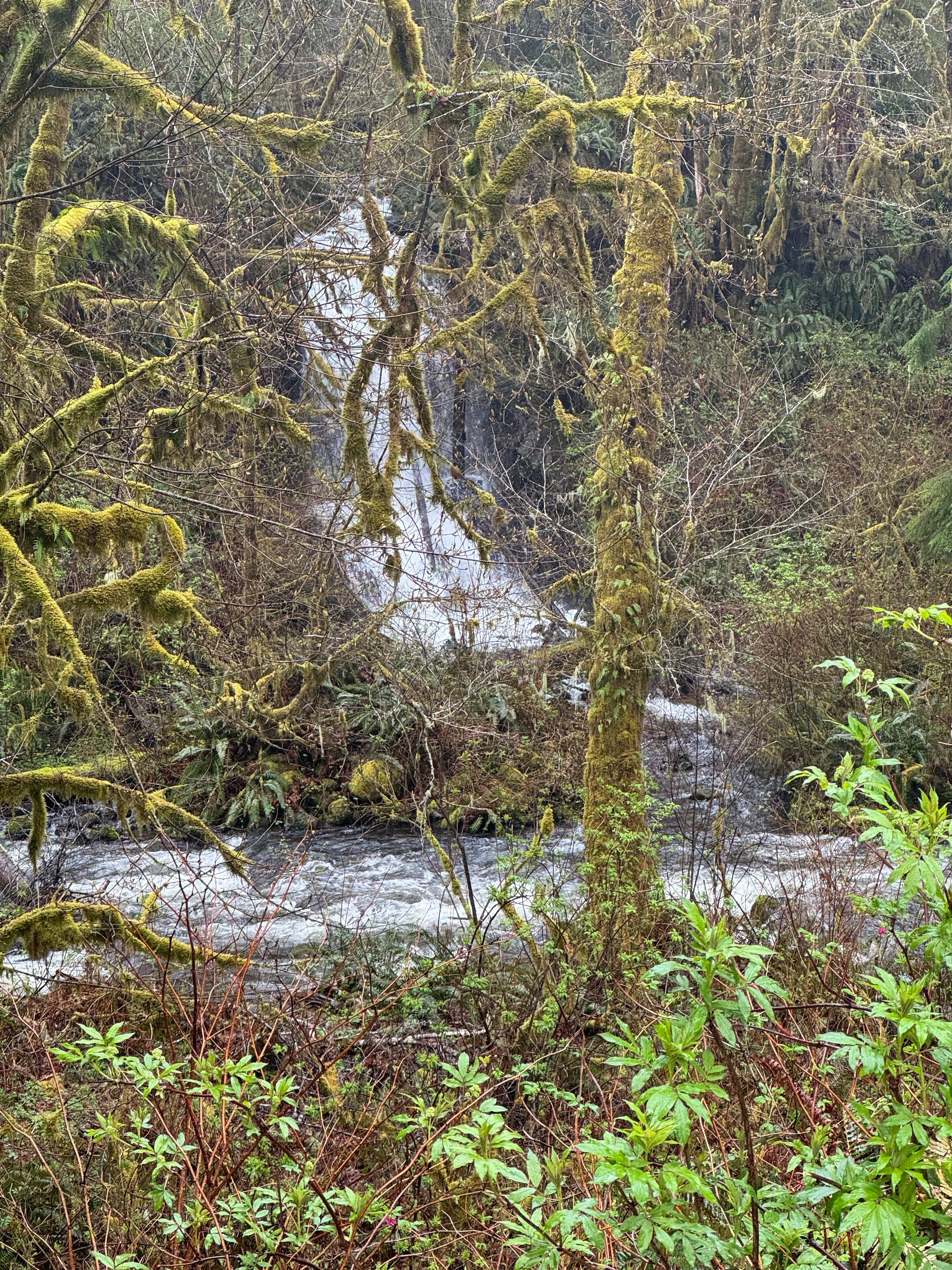 Nature