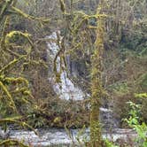 Review photo of Gnat Creek Fish Hatchery by Nick , March 29, 2024