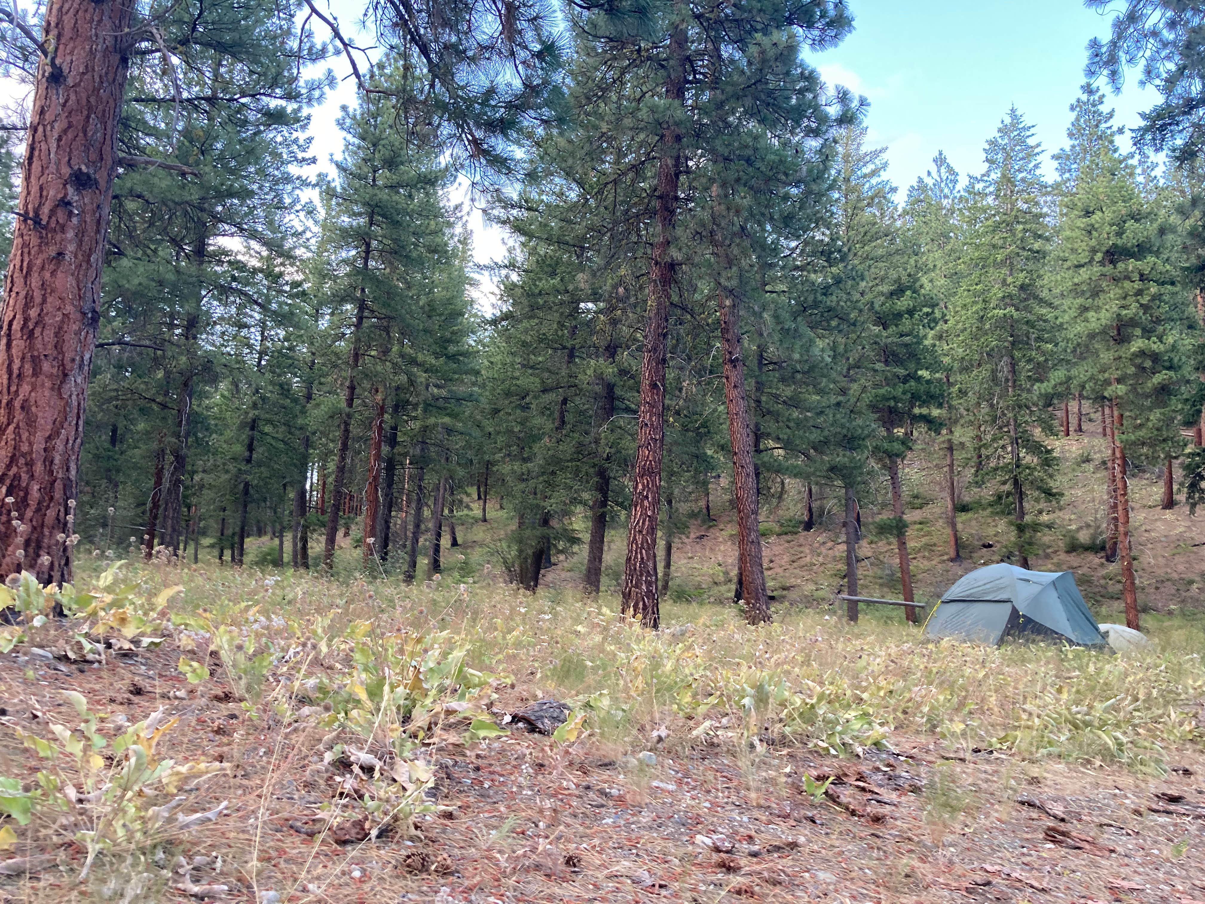 Anna P.'s photo of a dispersed camping area at Goat Creek Sno-Park near Lake Chelan National Recreation Area