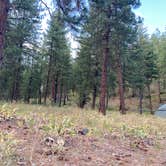 Review photo of Goat Creek Sno-Park by Anna P., June 28, 2025