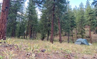 Anna P.'s photo of a dispersed camping area at Goat Creek Sno-Park near Winthrop, WA