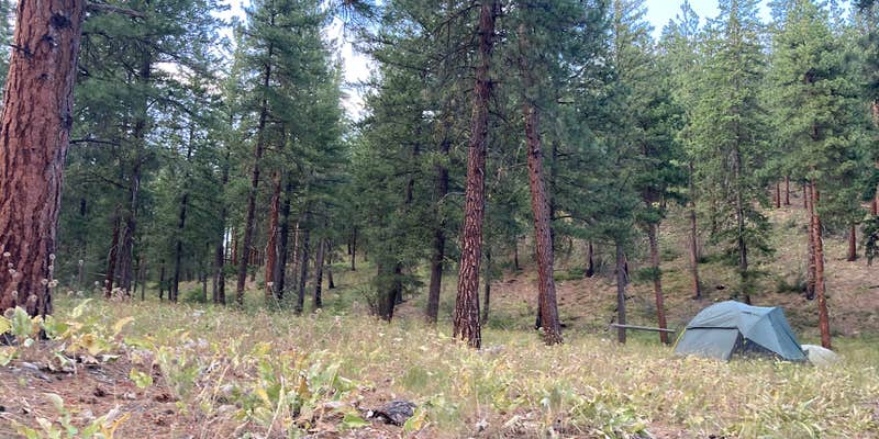 Camper submitted image from Goat Creek Sno-Park