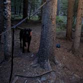 Review photo of Goat Marsh Dispersed Group Campsite by Natalie M., August 23, 2026