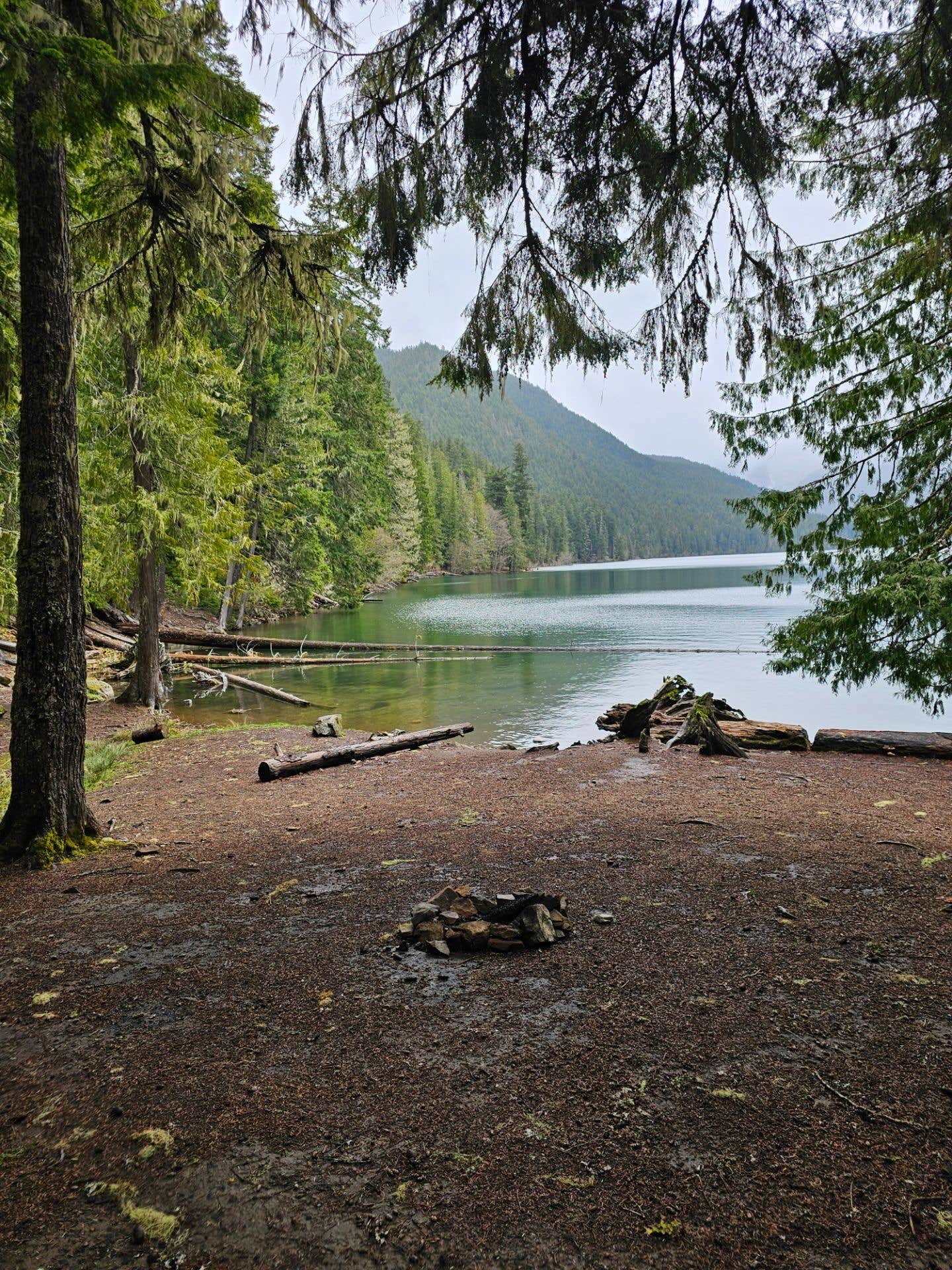 Sydney D.'s photo of a dispersed camping area at Goat Rock Wilderness near La Grande, WA