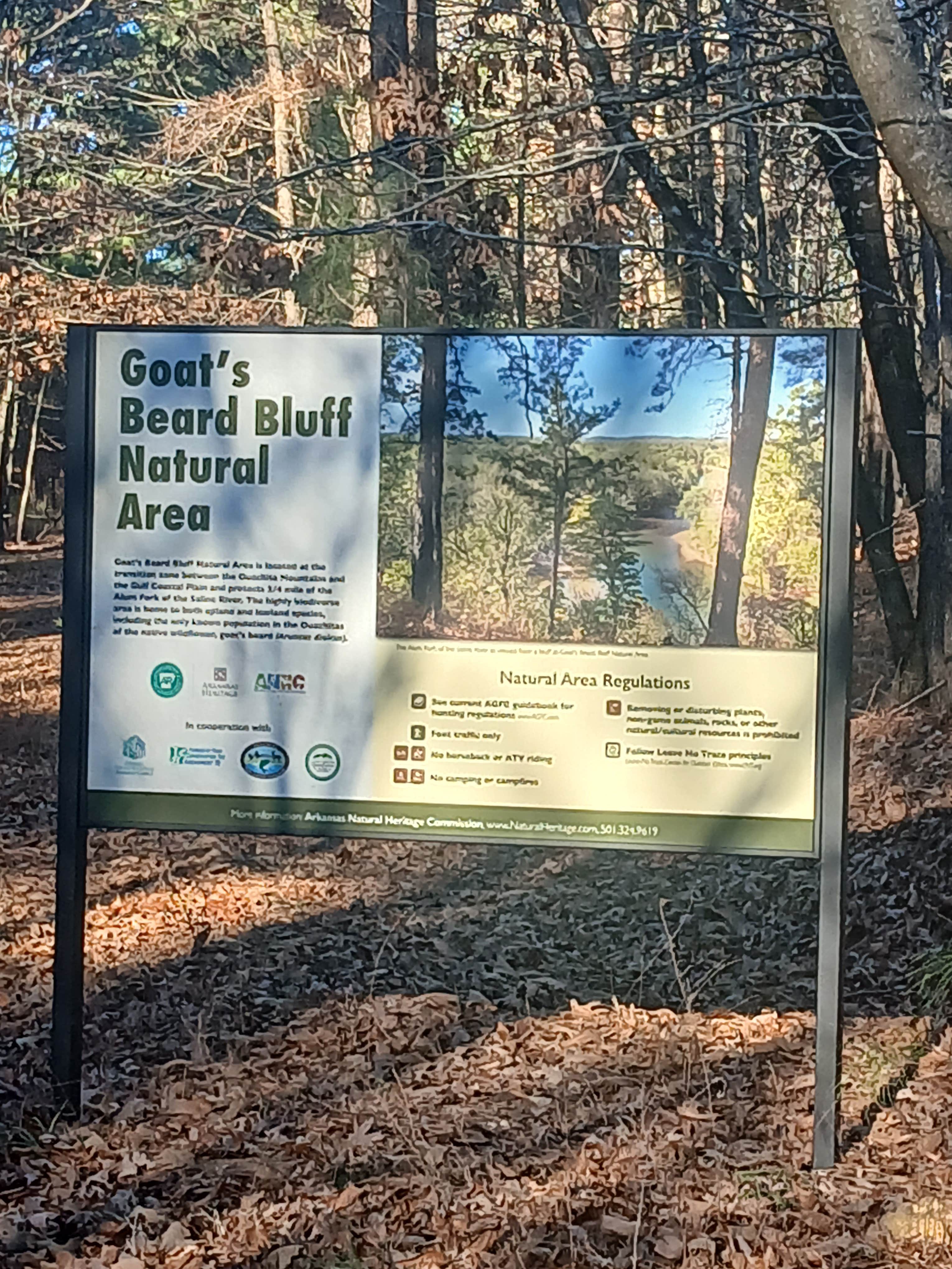 Camper-submitted photo at Goats Beard Bluff Dispersed Campsite near Little Rock, AR