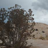 Review photo of Goblin Valley Rd BLM by Jahro M., July 3, 2025