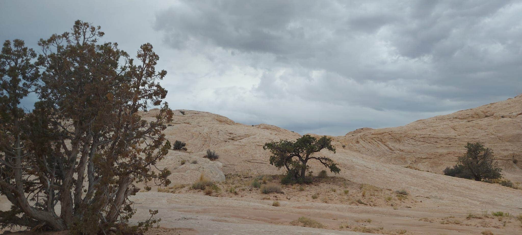 Camper submitted image from Goblin Valley Rd BLM - 3