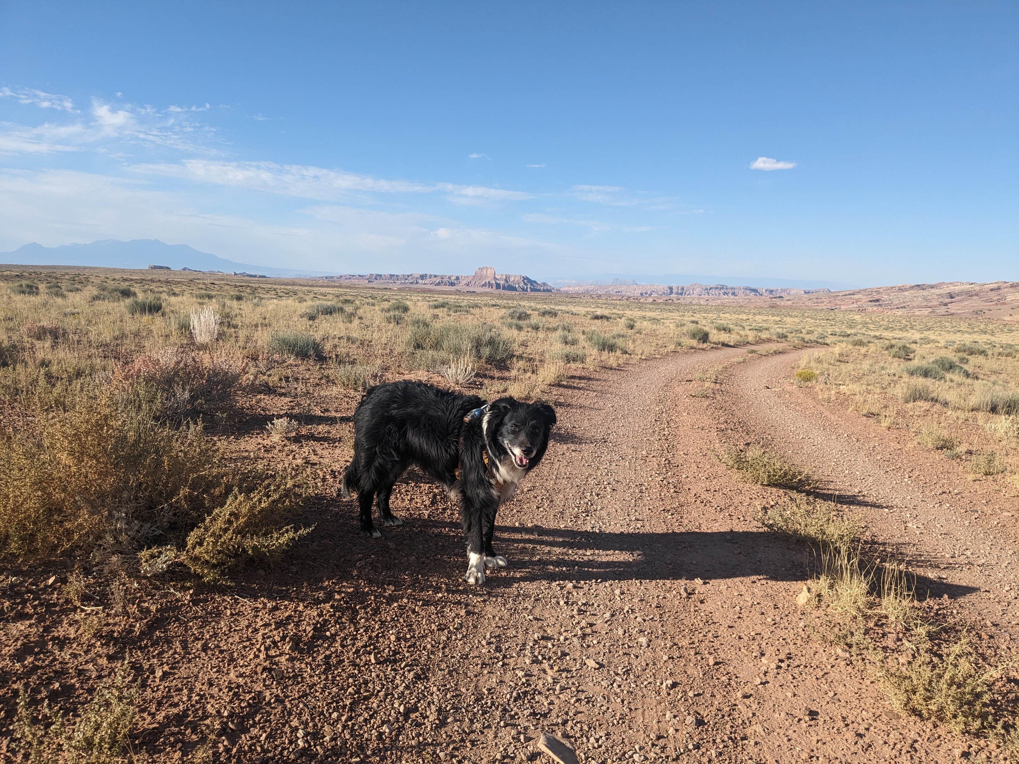Greg L.'s photo of camping with pets at Goblin Valley Lower Wildhorse Dispersed Camp near Hanksville, UT