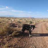 Review photo of Goblin Valley Lower Wildhorse Dispersed Camp by Greg L., September 20, 2023