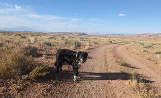 Greg L.'s photo of camping with pets at Goblin Valley Lower Wildhorse Dispersed Camp near Hanksville, UT