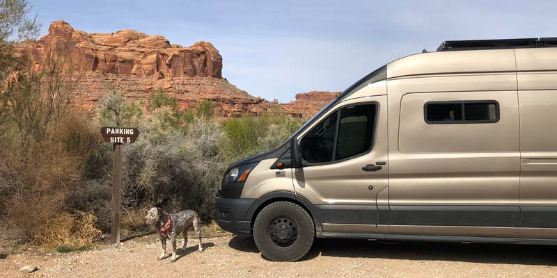 Camper submitted image from Gold Bar Recreation Site- individual campsites