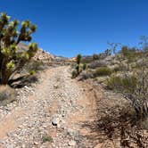 Review photo of Gold Butte National Monument by Meghan B., April 21, 2025