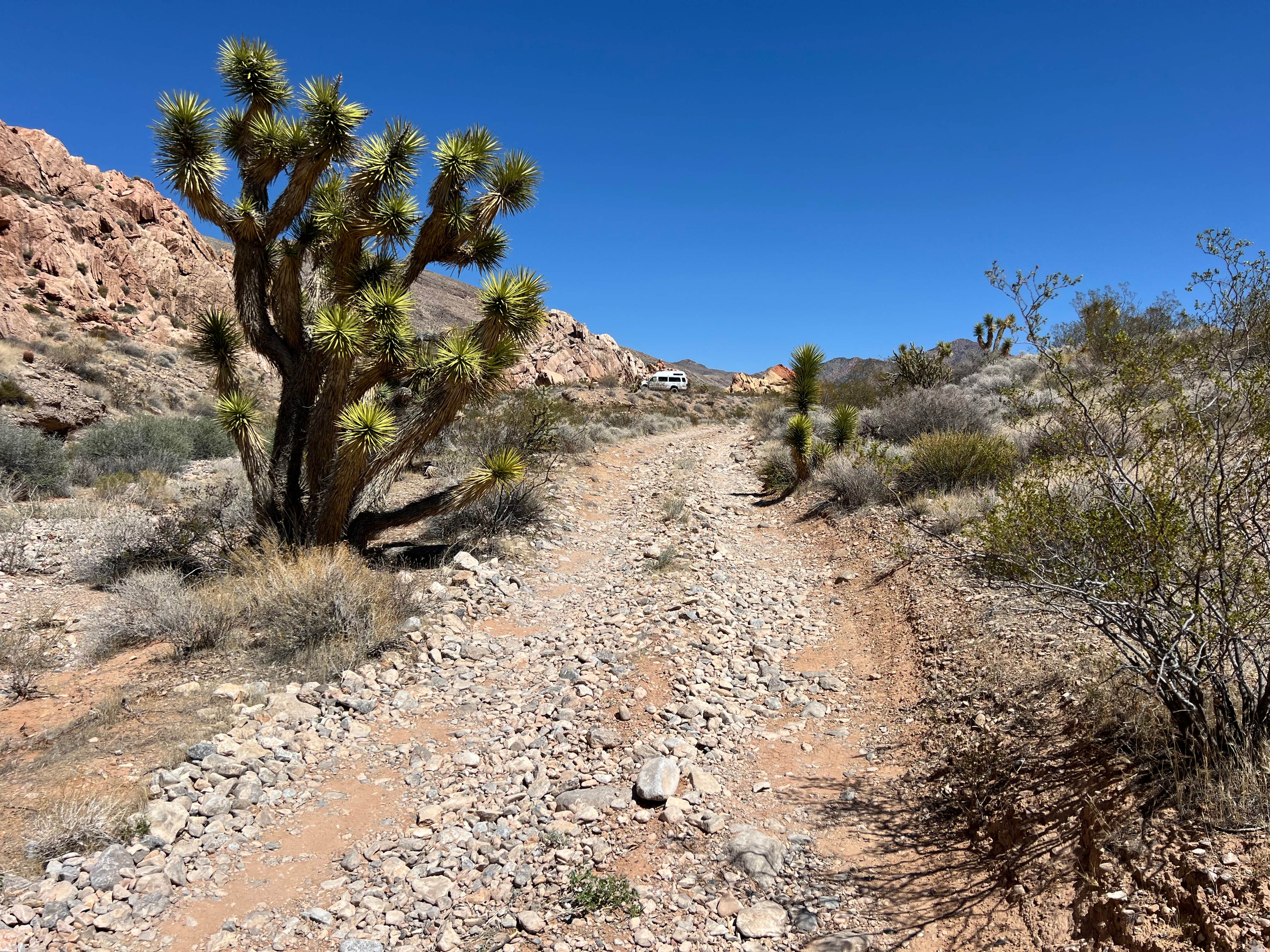 Camper submitted image from Gold Butte National Monument - 2