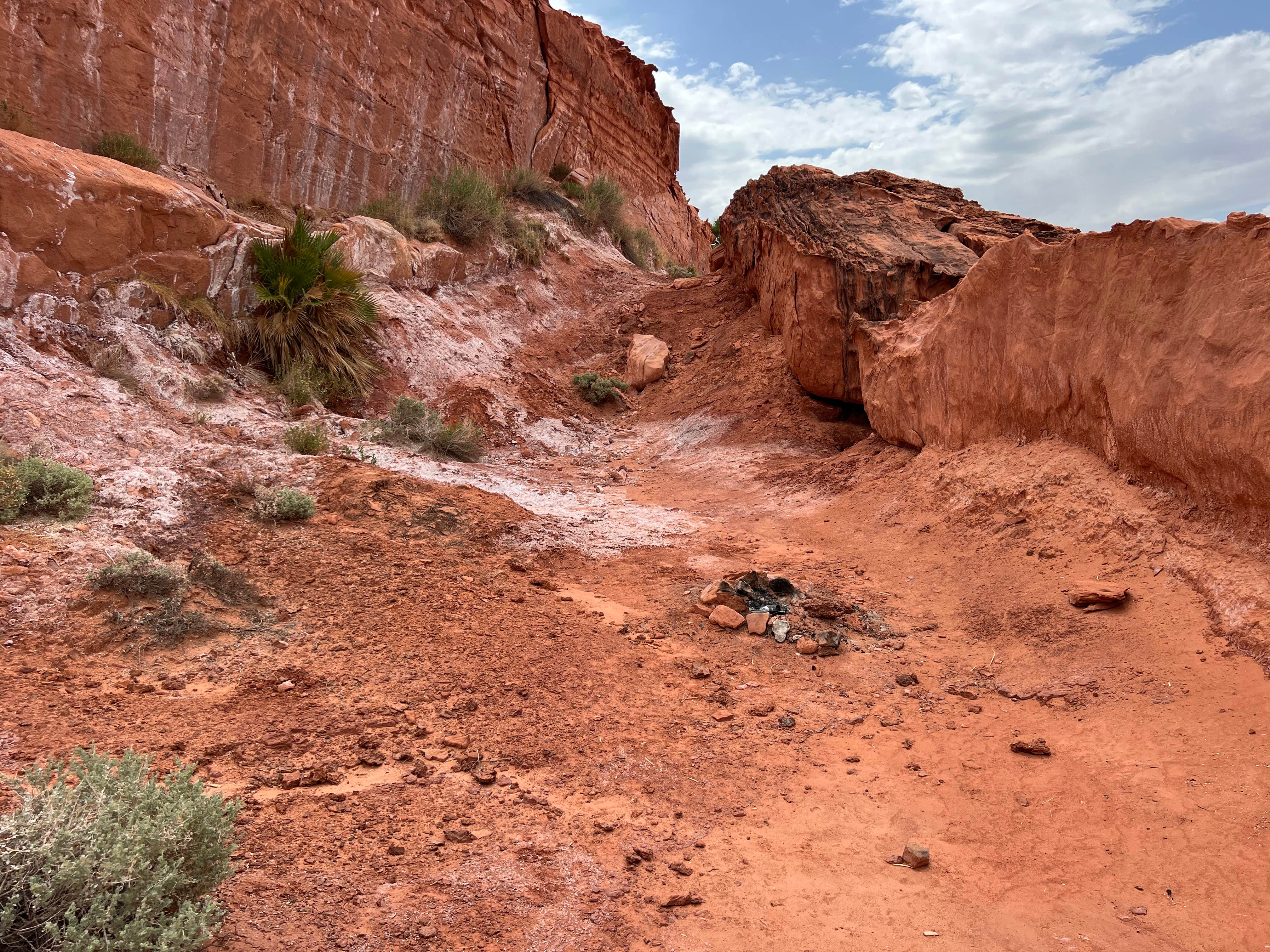 Camper-submitted photo at Gold Butte National Monument near Bunkerville, NV