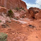 Review photo of Gold Butte National Monument by Meghan B., April 21, 2025