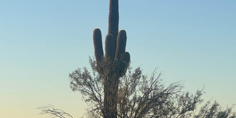 Camper submitted image from Gold Canyon Dispersed Site