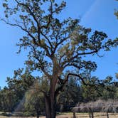 Review photo of Gold Country Campground Resort by Lisa Marie L., October 19, 2025