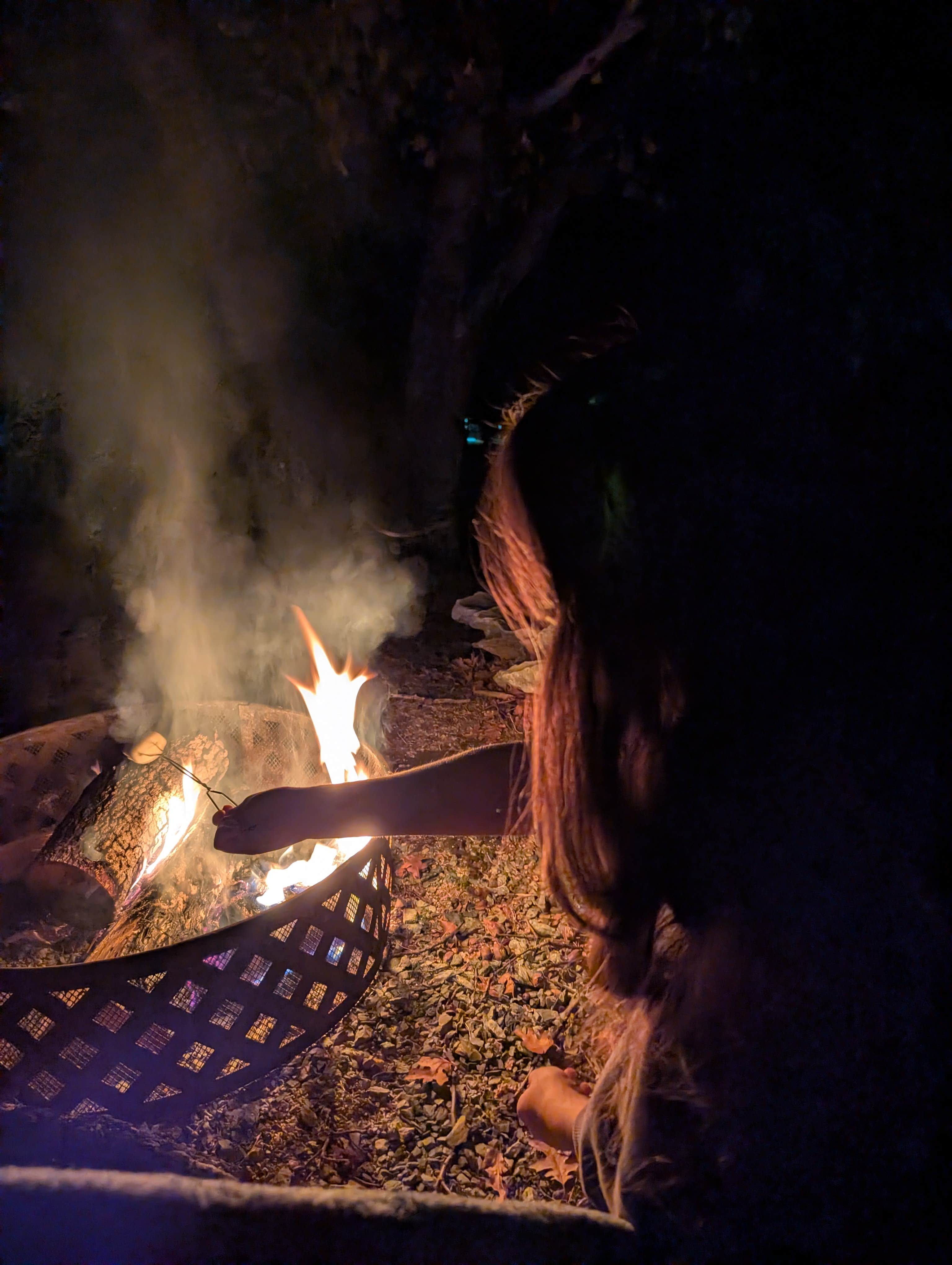 Camper-submitted photo at Gold Country Campground Resort near Placerville, CA