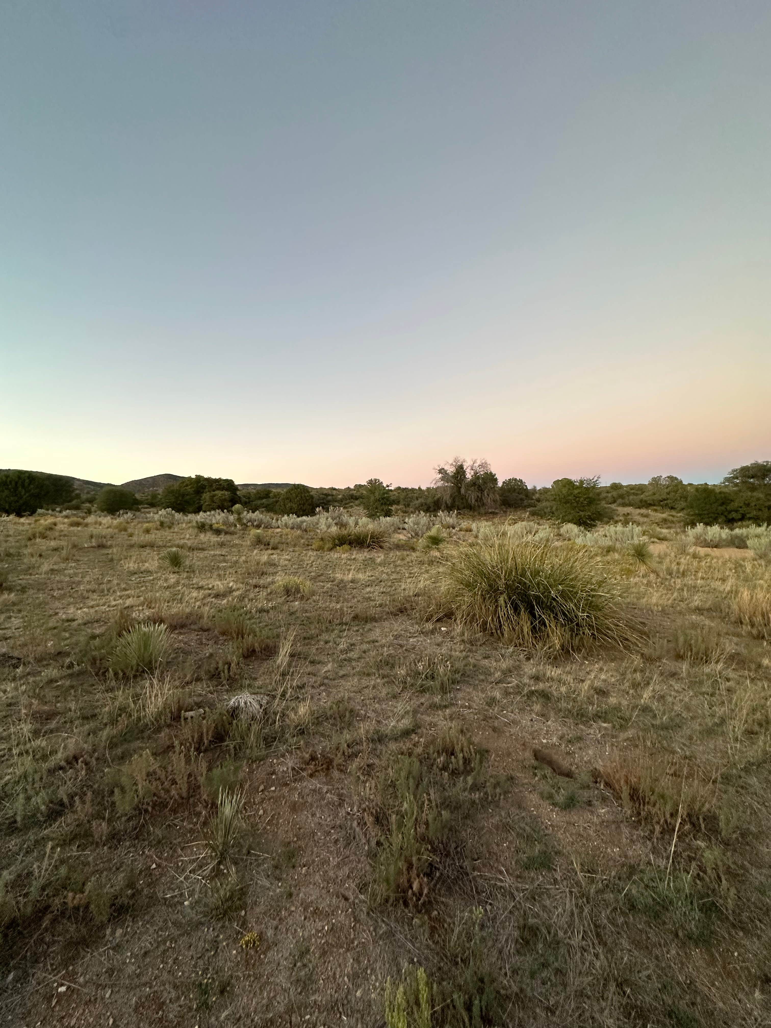 Camper-submitted photo at Gold Gulch Road near Animas, NM