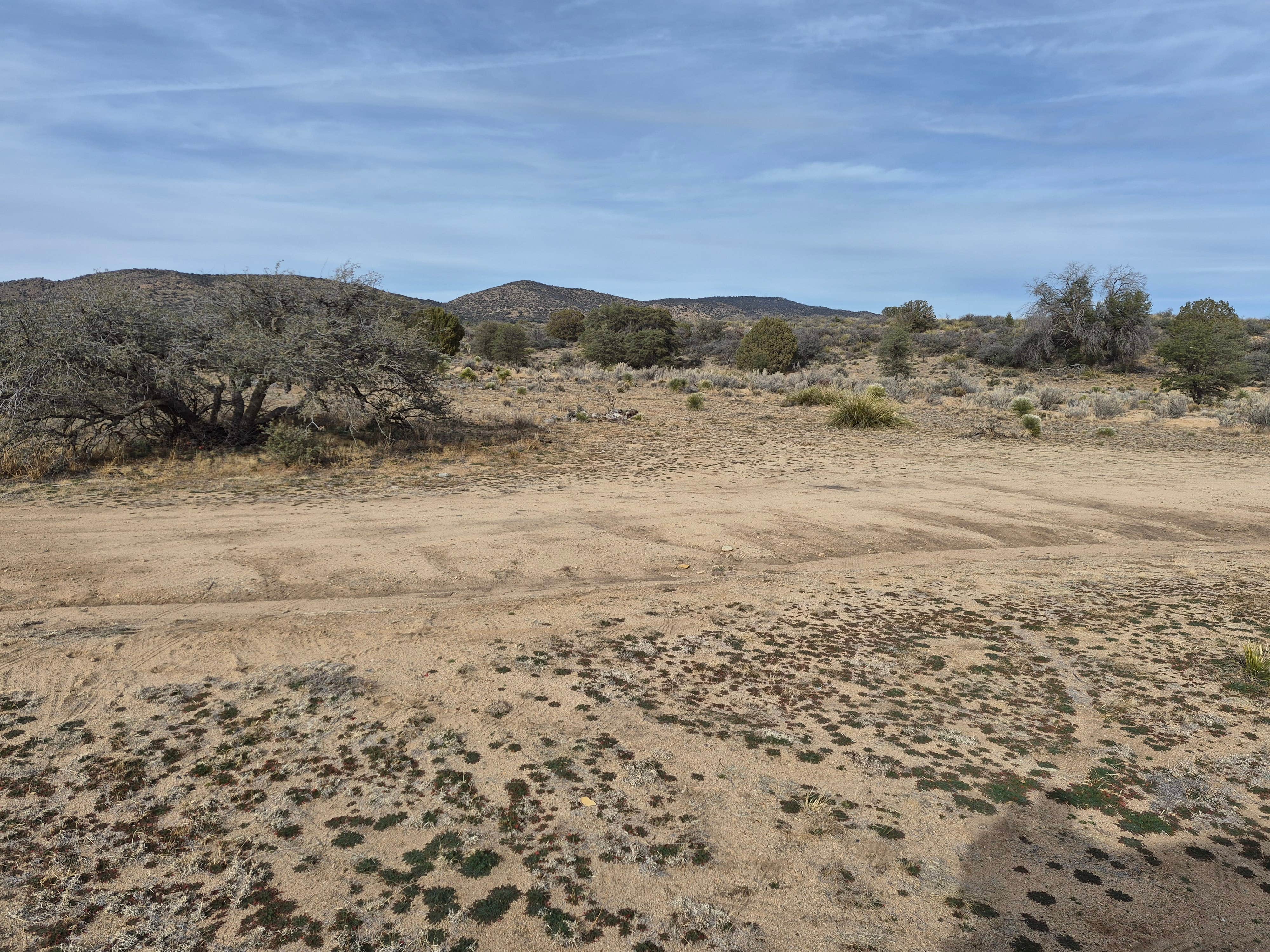 Camper-submitted photo at Gold Gulch Road near Cliff, NM