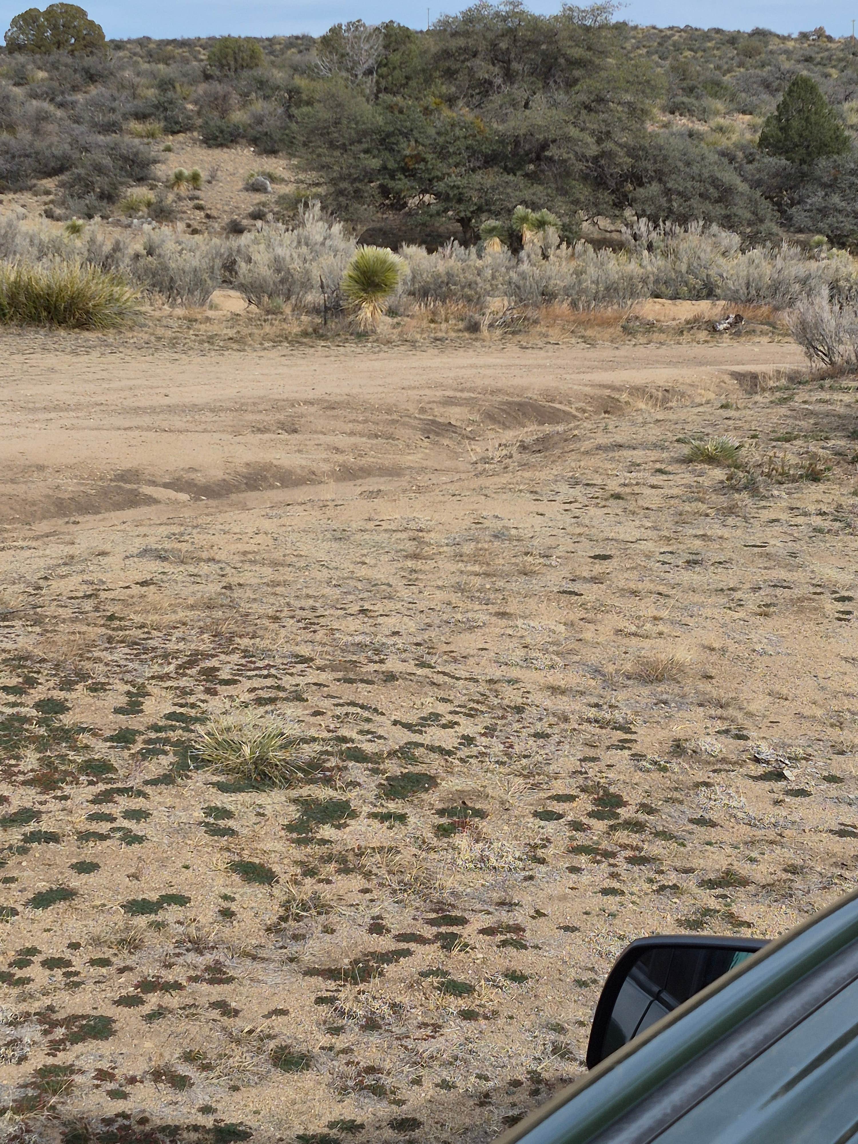 Camper submitted image from Gold Gulch Road - 2