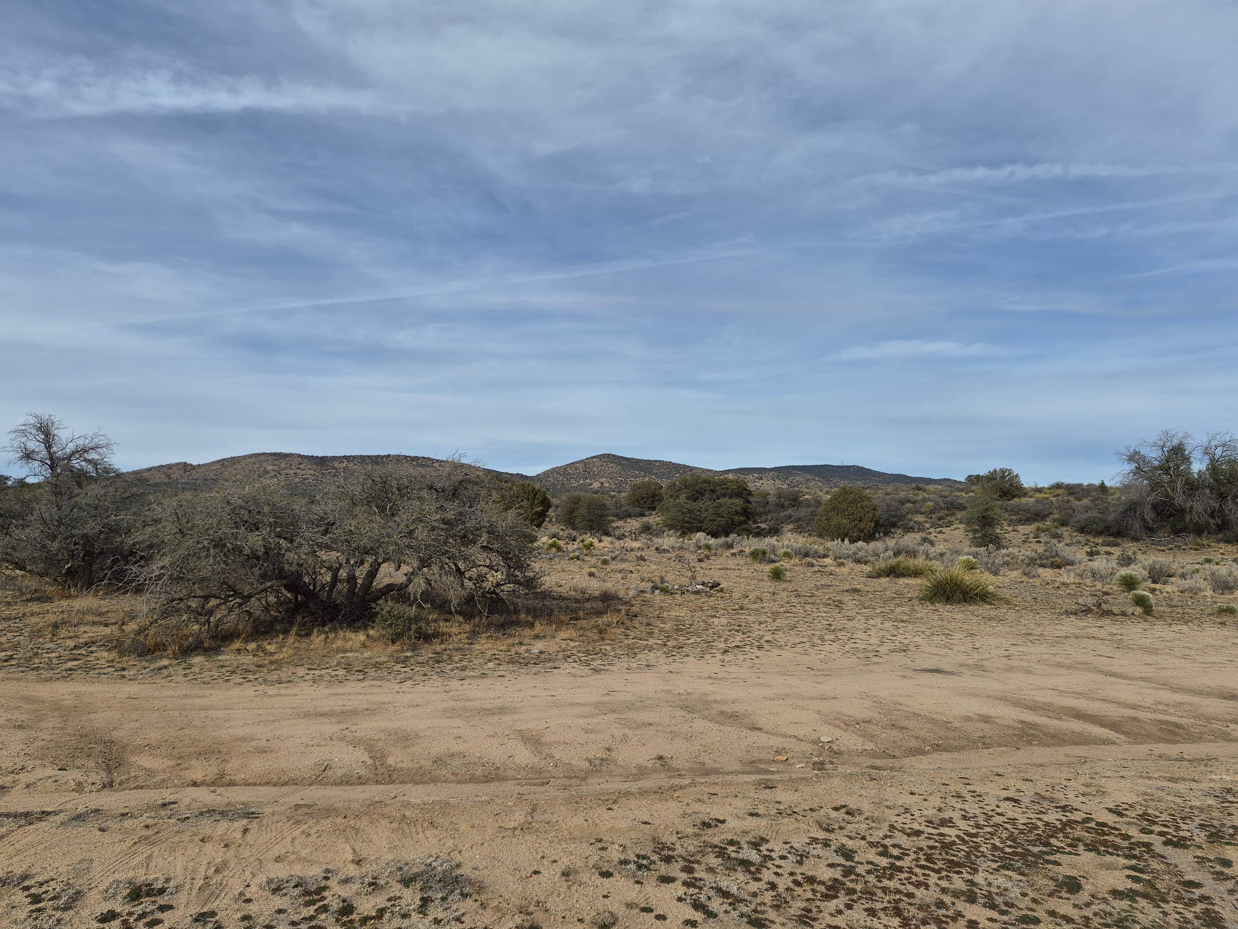 Camper-submitted photo at Gold Gulch Road near Cliff, NM