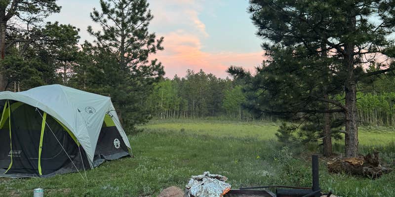 Camper submitted image from Gold Lake Area Dispersed