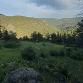 Review photo of Gold Lake Area Dispersed by Jess , June 16, 2025