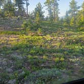 Review photo of Gold Lake Area Dispersed by Brian M., June 18, 2025