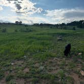 Review photo of Gold Lake Area Dispersed by Jess , June 16, 2025