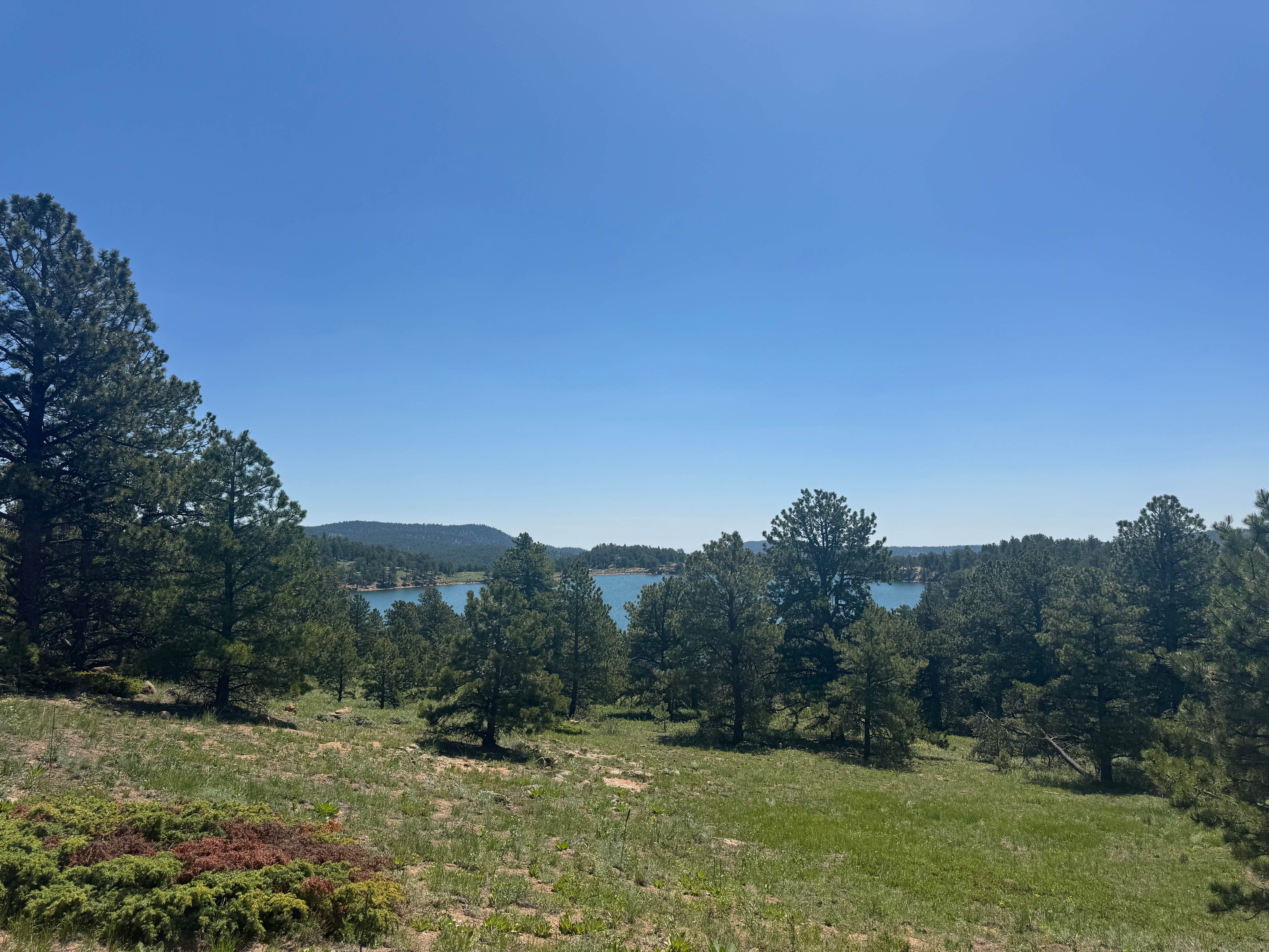 Camper-submitted photo at Gold Lake Area Dispersed near Berthoud, CO