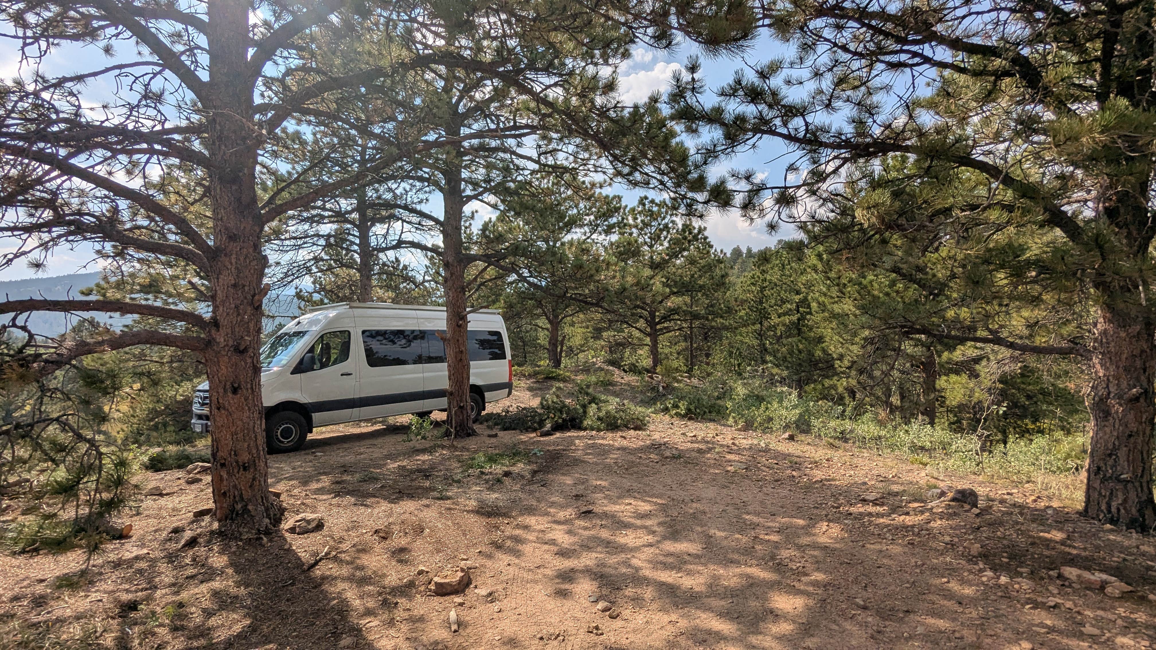 Camping near Vein Of Gold Cabin: Gold Lake Roosevelt Forest dispersed camping, Ward, Colorado