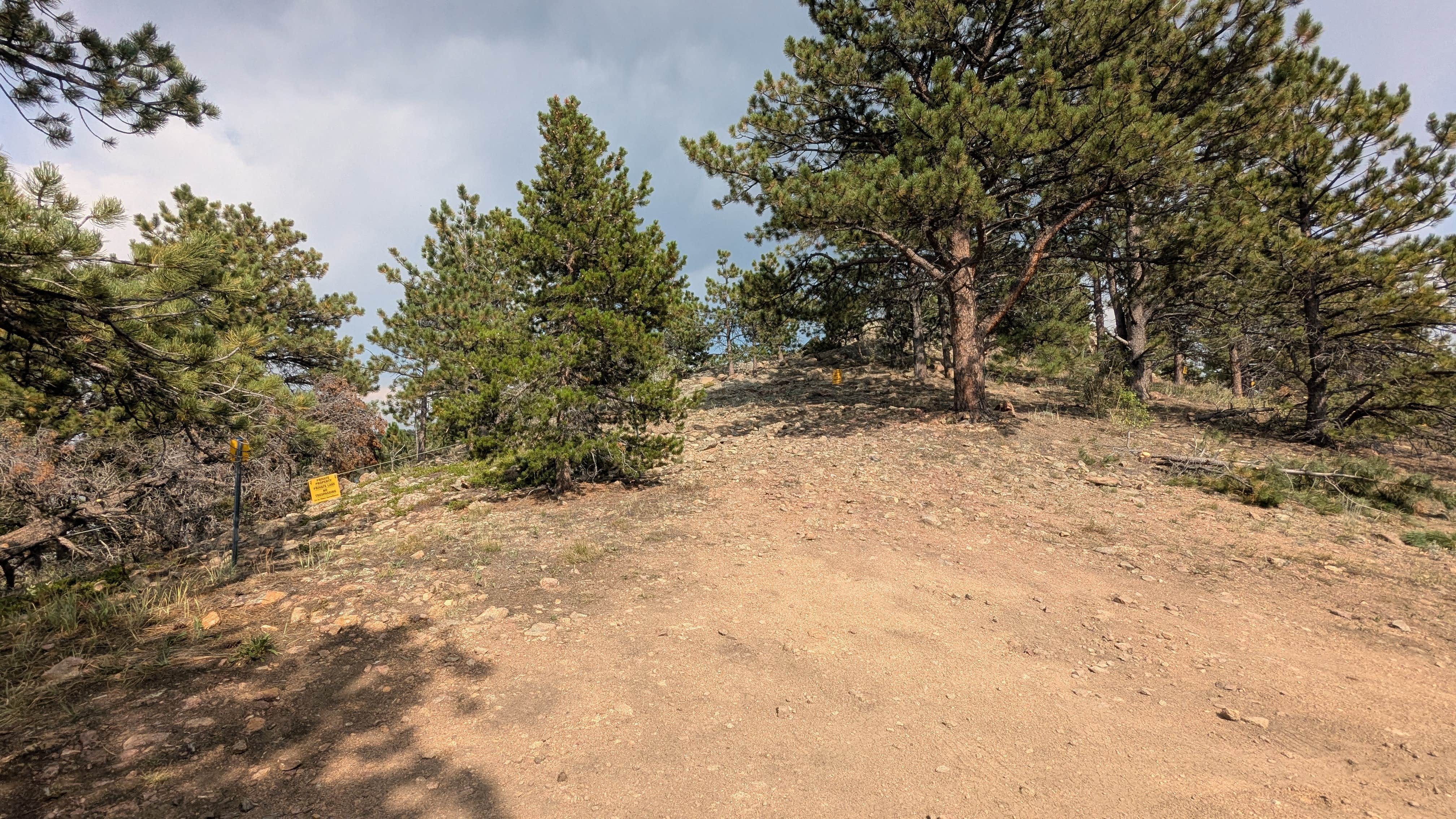 Camper submitted image from Gold Lake Roosevelt Forest dispersed camping - 3