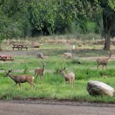 Review photo of Golden Eagle Campground by Victor W., September 17, 2026