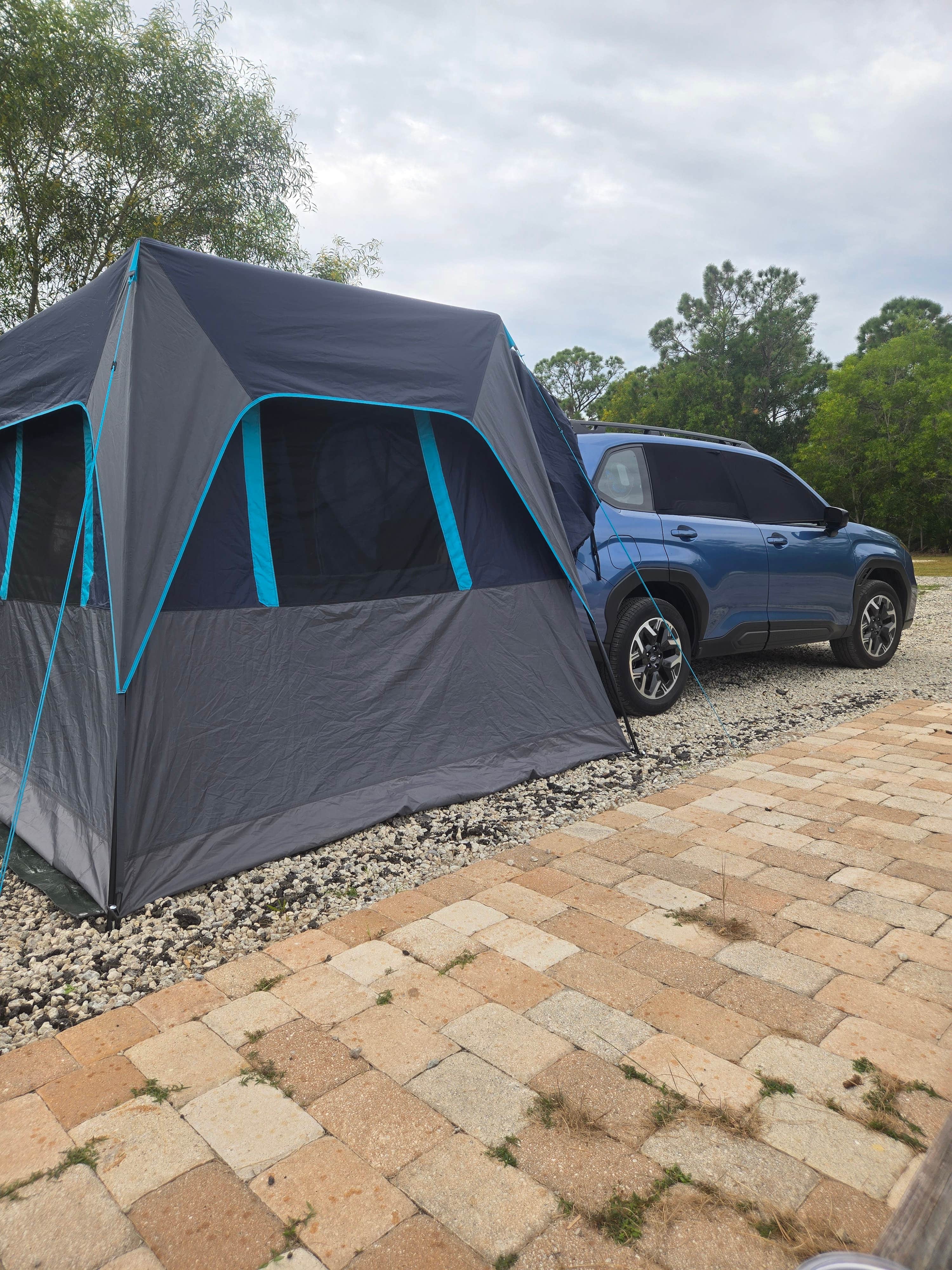 Camper submitted image from Golden Gate Farm - 3