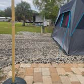 Review photo of Golden Gate Farm by Susan A., November 6, 2025