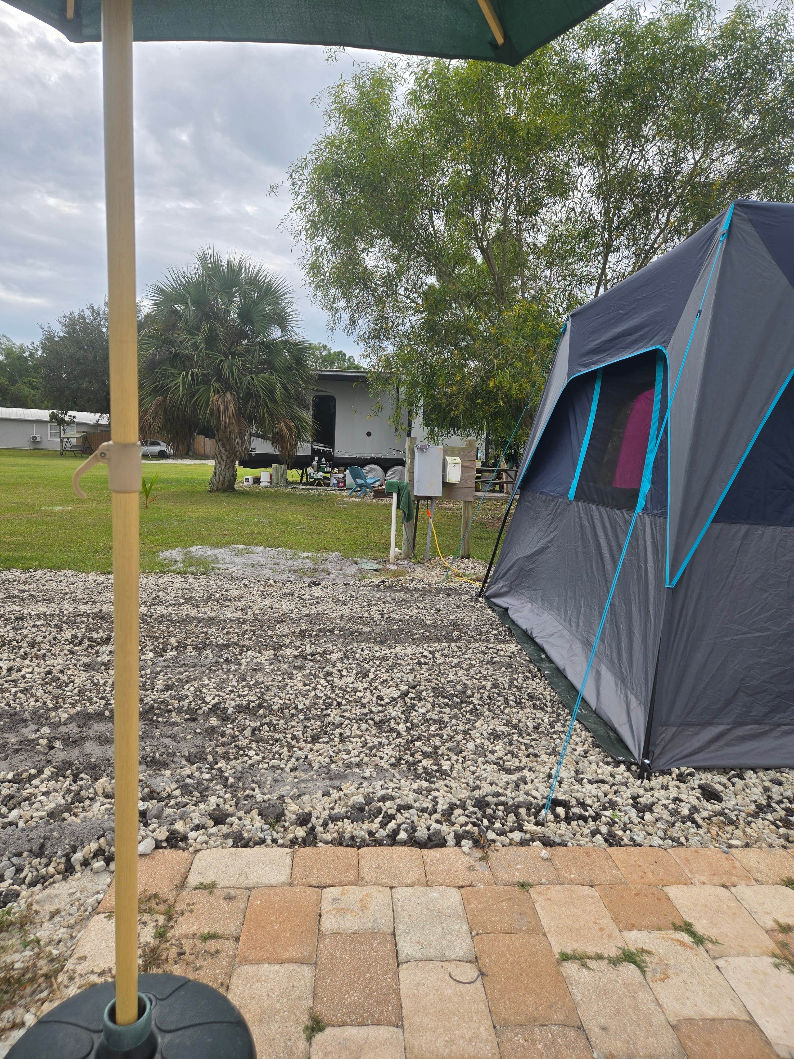 Camper submitted image from Golden Gate Farm - 4