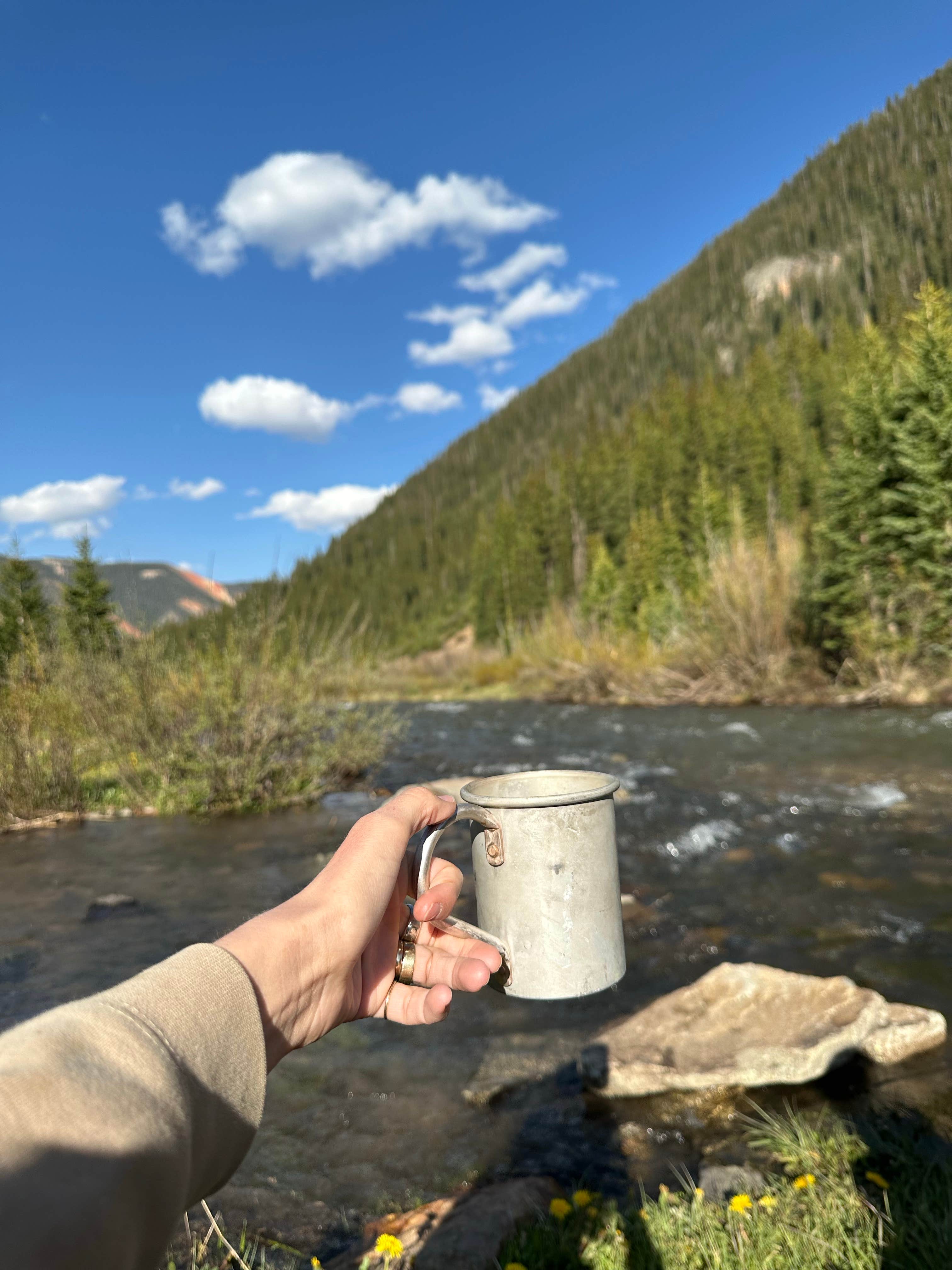 Rikquele D.'s photo of a dispersed camping area at Golden Horn Dispersed near Rico, CO