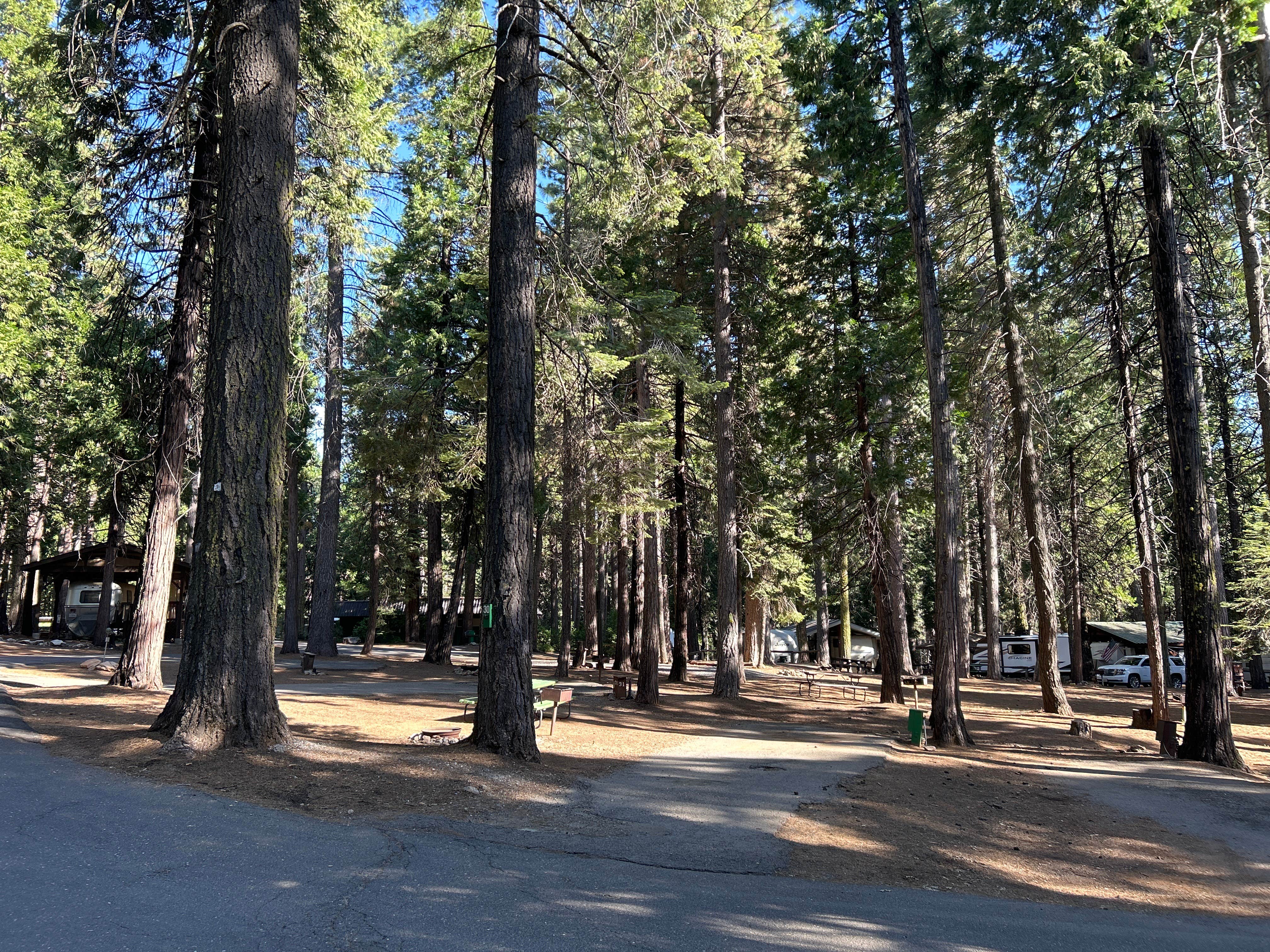 Camper-submitted photo at Golden Pines RV Resort and Campground near Long Barn, CA