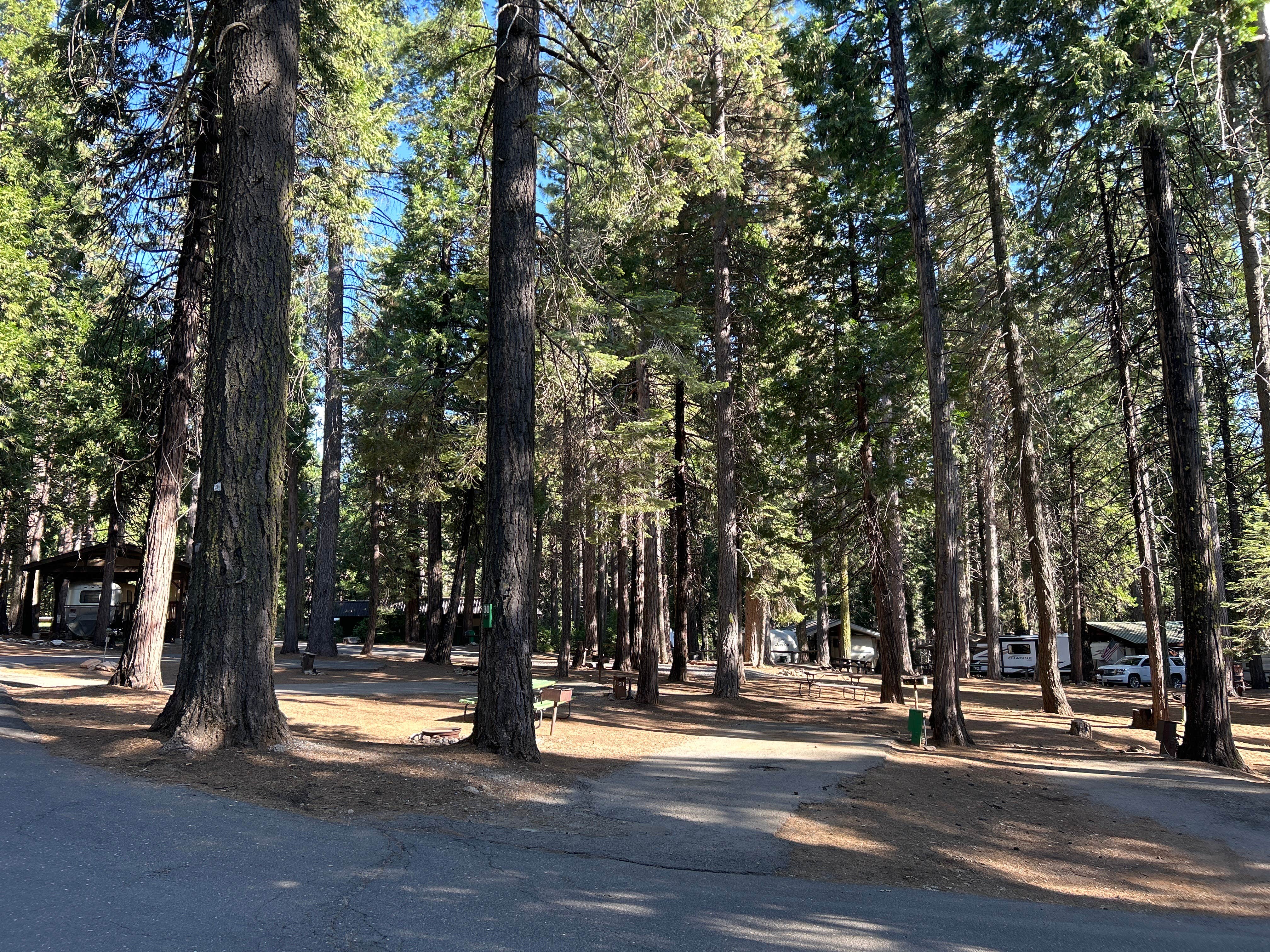 Camper submitted image from Golden Pines RV Resort and Campground - 4