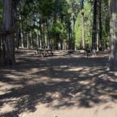 Review photo of Golden Pines RV Resort and Campground by Jeff H., October 3, 2026