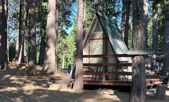 Camping near North Grove Campground — Calaveras Big Trees State Park: Golden Pines RV Resort and Campground, Camp Connell, California