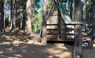 Benjamin K.'s photo of glamping accommodations at Golden Pines RV Resort and Campground near Pine Grove, CA