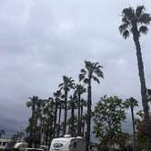 Review photo of Golden Shore RV Resort by Roelof W., May 6, 2025