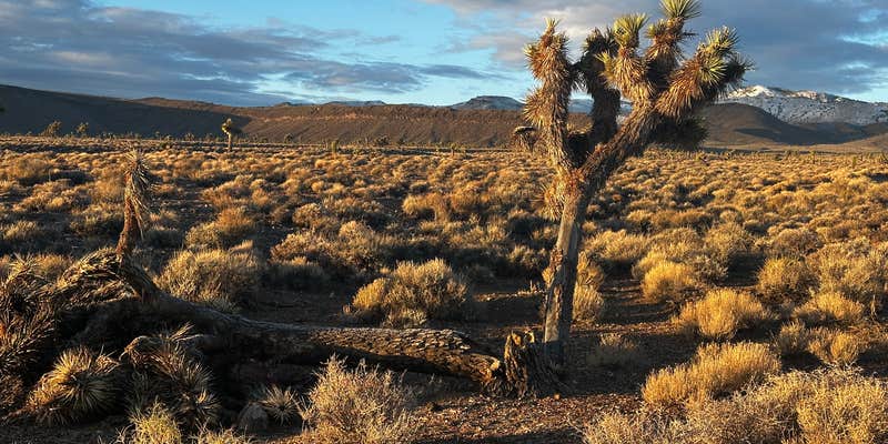 Camper submitted image from Goldfield Road Dispersed