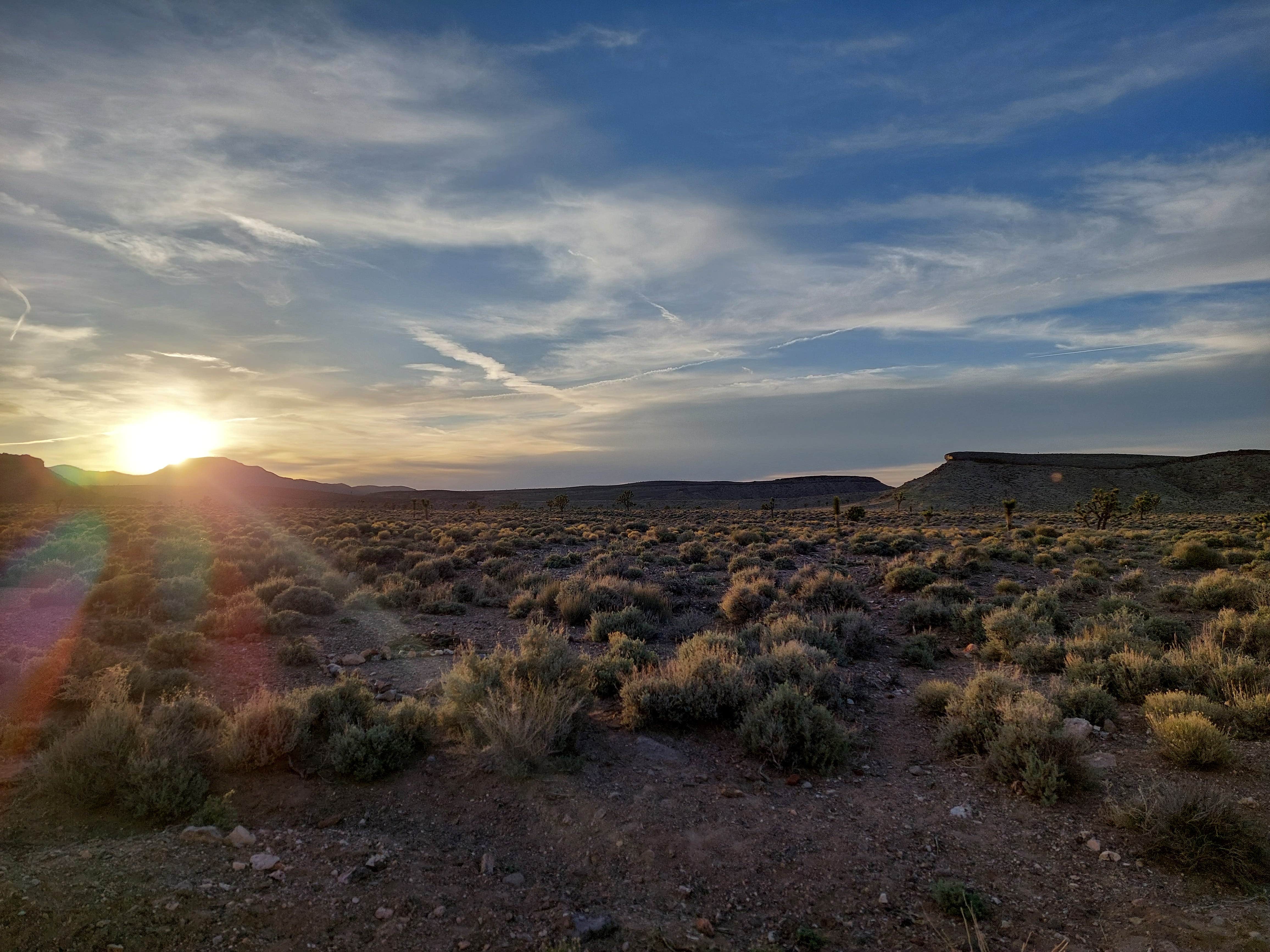 Camper-submitted photo at Goldfield Road Dispersed near Tonopah, NV