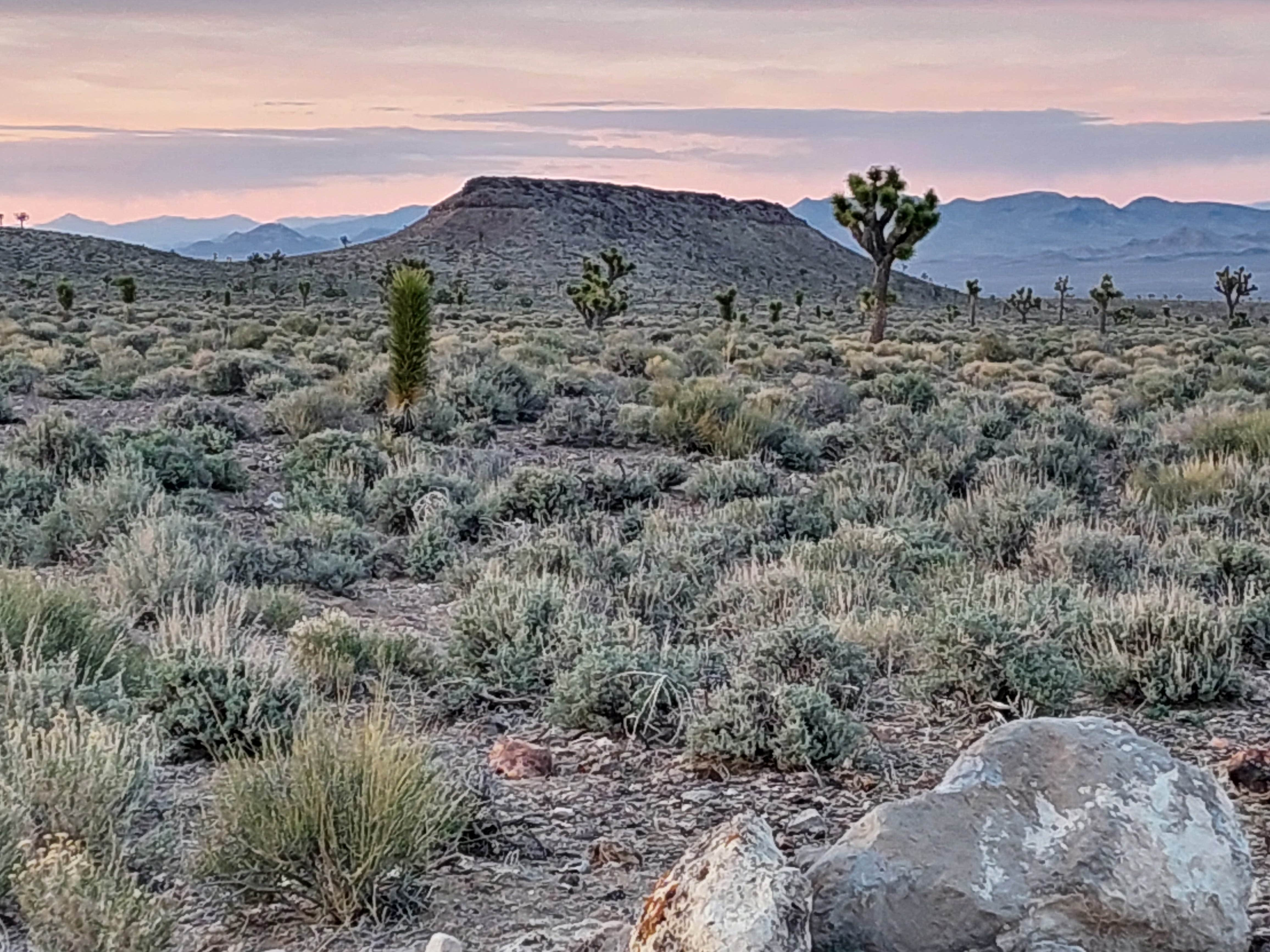 Goldfield Road Dispersed